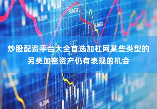 炒股配资平台大全首选加杠网某些类型的另类加密资产仍有表现的机会