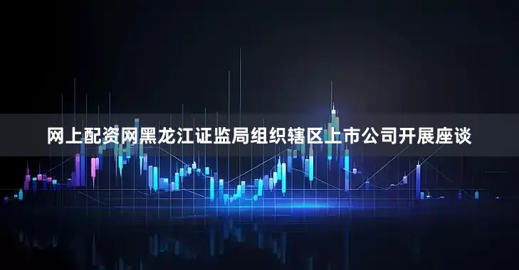 网上配资网黑龙江证监局组织辖区上市公司开展座谈