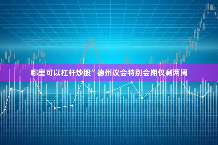 哪里可以杠杆炒股”　　德州议会特别会期仅剩两周