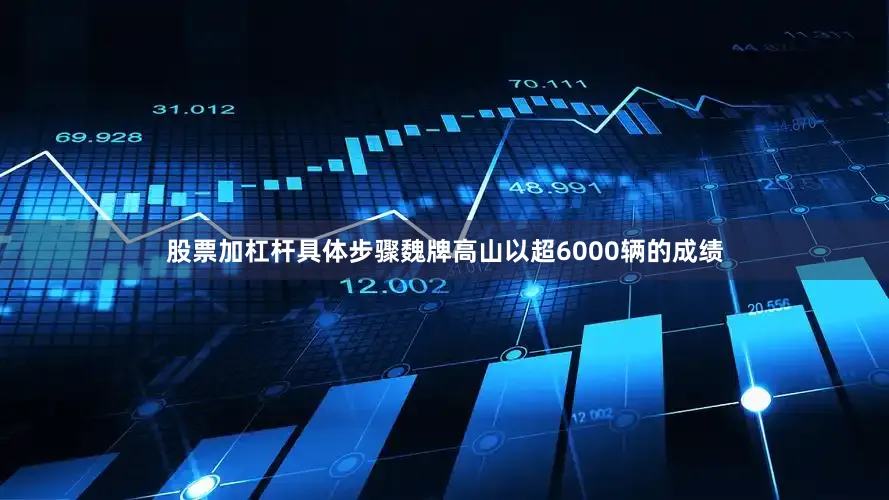 股票加杠杆具体步骤魏牌高山以超6000辆的成绩