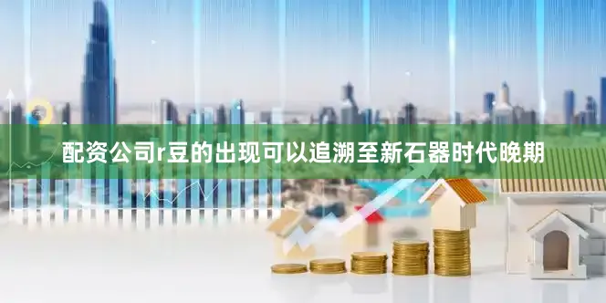 配资公司r豆的出现可以追溯至新石器时代晚期